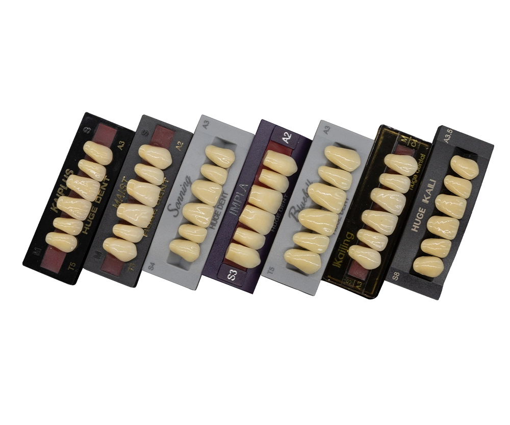 Synthetic Polymer Teeth