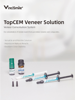 VinciSmile TopCEM Veneer Solution